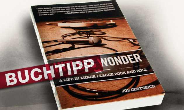 bonedo_buchtip_hitlesswonder