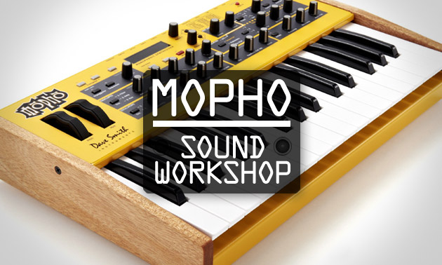 mopho_workshop Bild