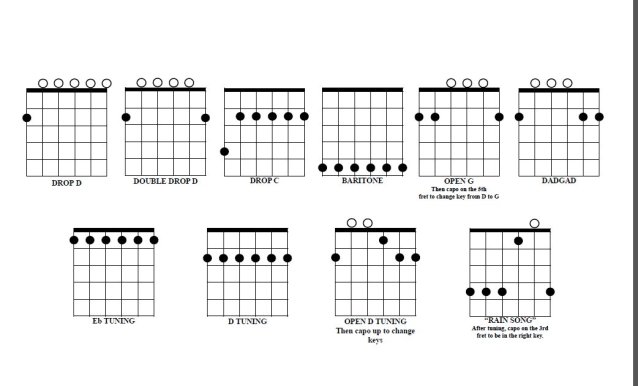 Mithilfe dieser Griffdiagramme kann die Peavey AT-200 in verschiedene Tunings versetzt werden.