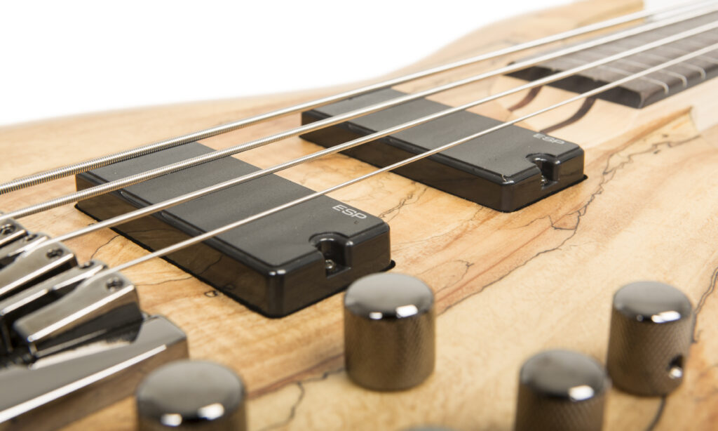 Perfekt eingestellt: Fretless-LTD