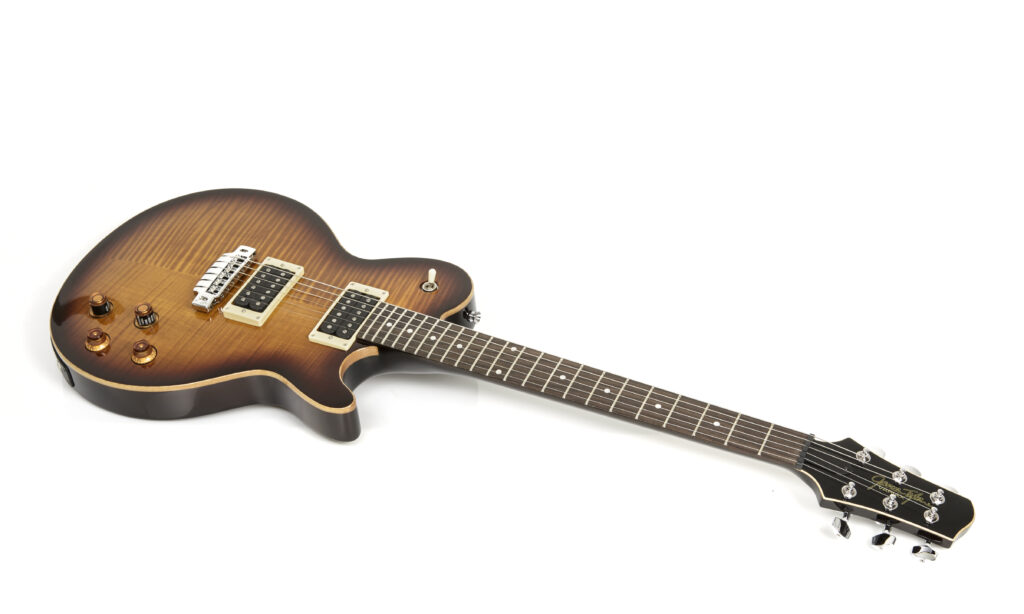 Line6_JamesTyler_Variax_LesPaul_006FIN Bild