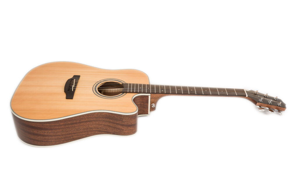 Takamine_GD20CE_NA_001FIN Bild