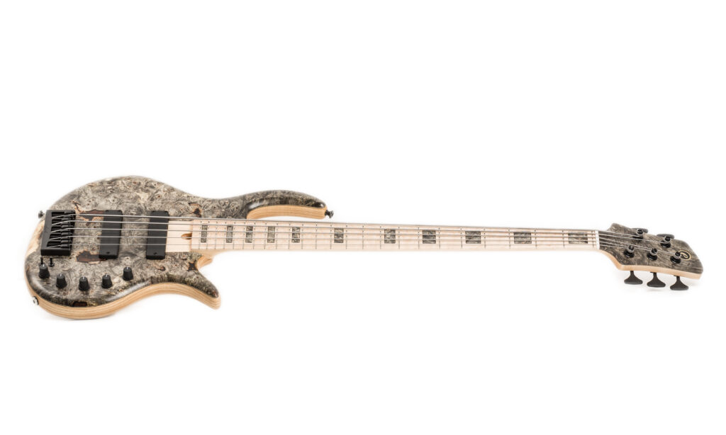 Elrick_Gold_Serie_E_volution_5_saitiger_Custom_Shop_E_Bass_003FIN