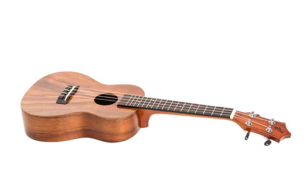 Harley Benton Hawaii Koa Concert Ukulele