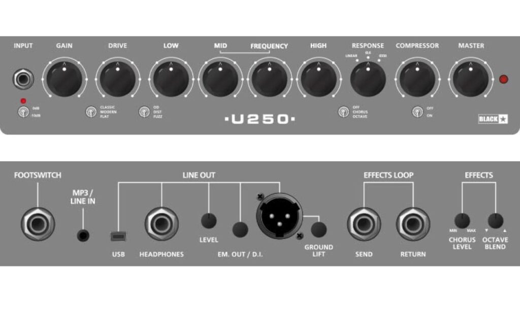 Blackstar Unity 250 Panel