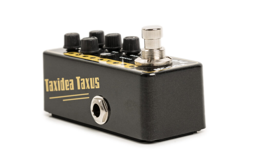 Das Mooer Micro Preamp 014 Taxidea Taxus überzeugt mit authentischem Sound und tadelloser Verarbeitung.