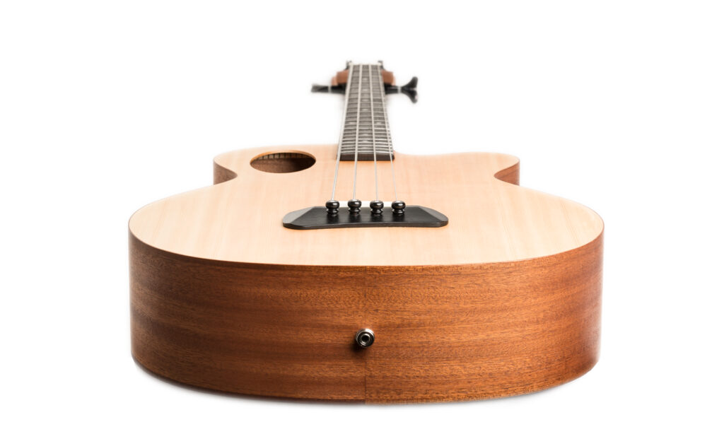 Spector_Timbre_Acoustic_Bass_010FIN