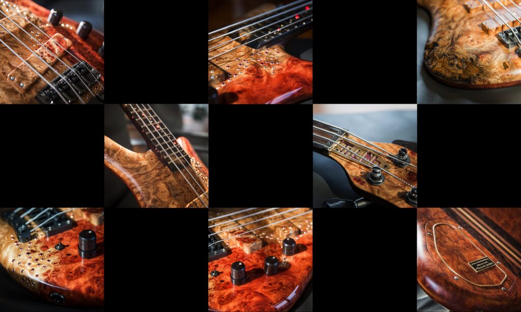 Warwick Anniversary Thumb Bass Collage