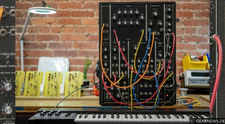 Moog Model 10