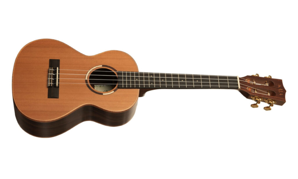 KALA KA-ASCP-C - All Solid Cedar Top, Pau Ferro Concert Ukulele, mit Case