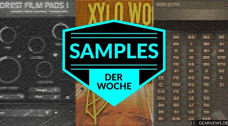 Samples der Woche: Forest Film Pads 1, Dominus Choir Pro, Xylo Wood