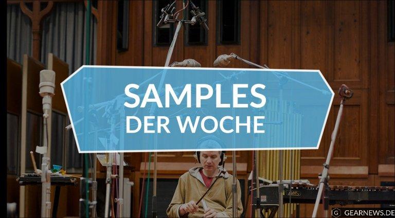 Samples der Woche: SP1200 Collection, Designer Drums 2, Swarm Percussion