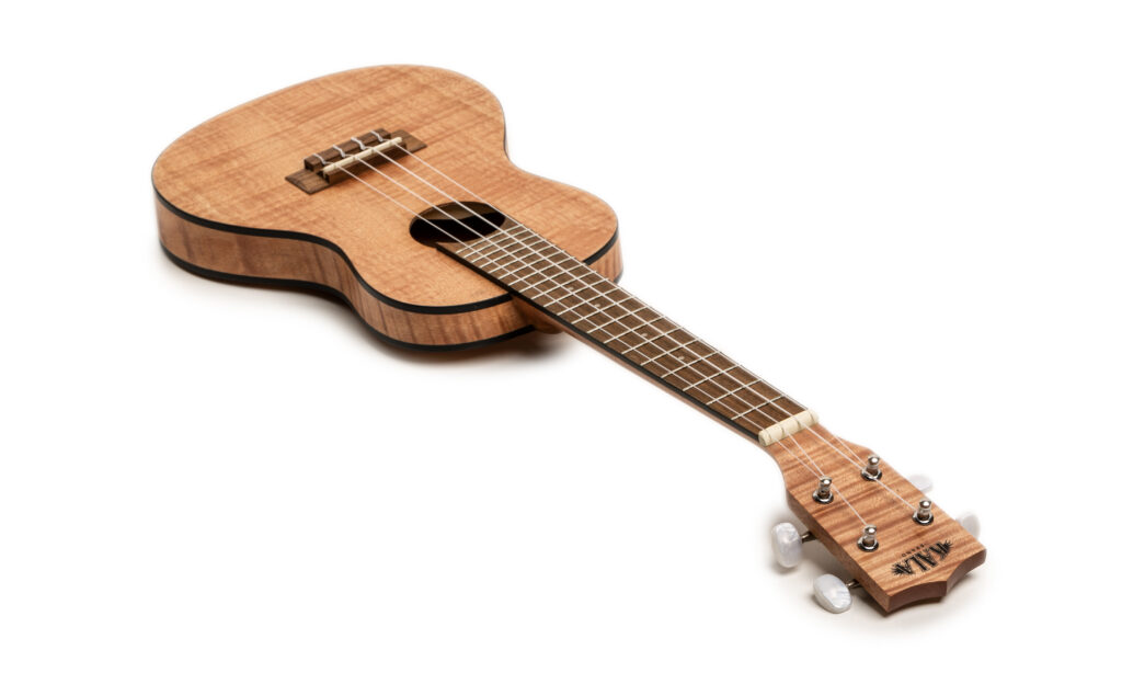 Durch den flacheren Korpus hat die Kala Exotic Mahogany Travel Concert Ukulele generell etwas weniger Klangvolumen