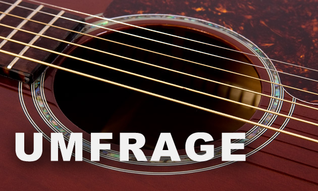 gitarre_umfrage