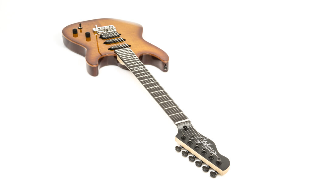 Chanpman_Guitars_ML_1_008FIN-1002307 Bild