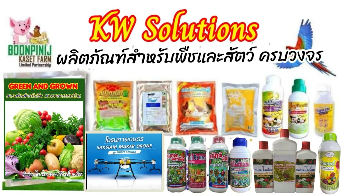 KW Solutions