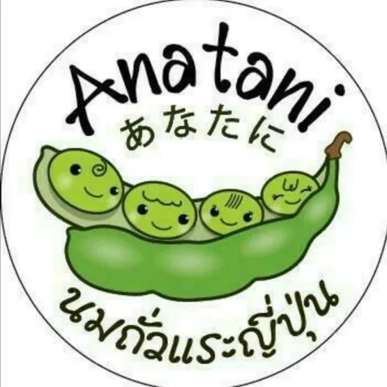 นมถั่วแระญี่ปุ่นAnatani Edamame milk