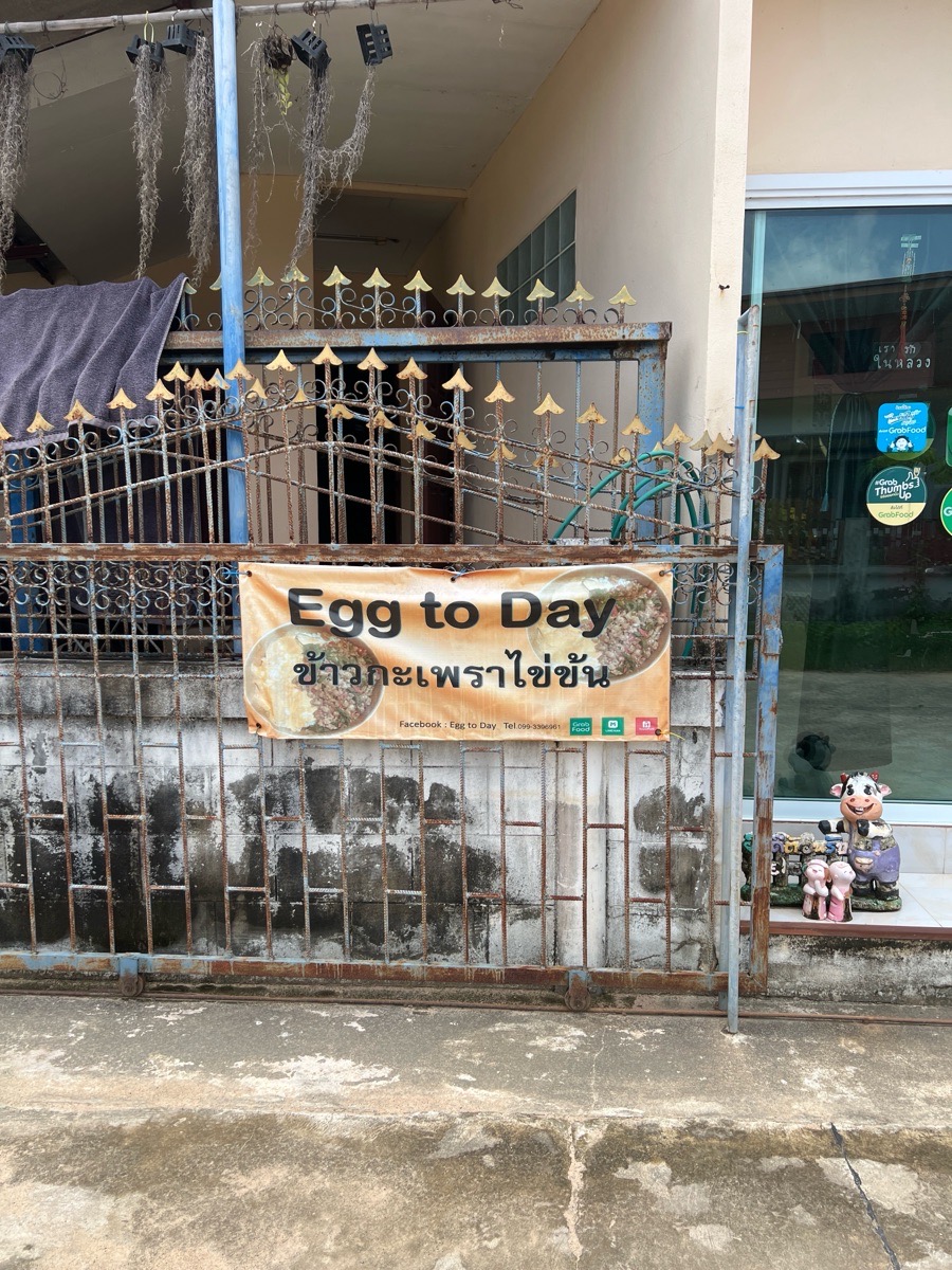 ข้าวกะเพราไข่ข้น by Egg to Day 2