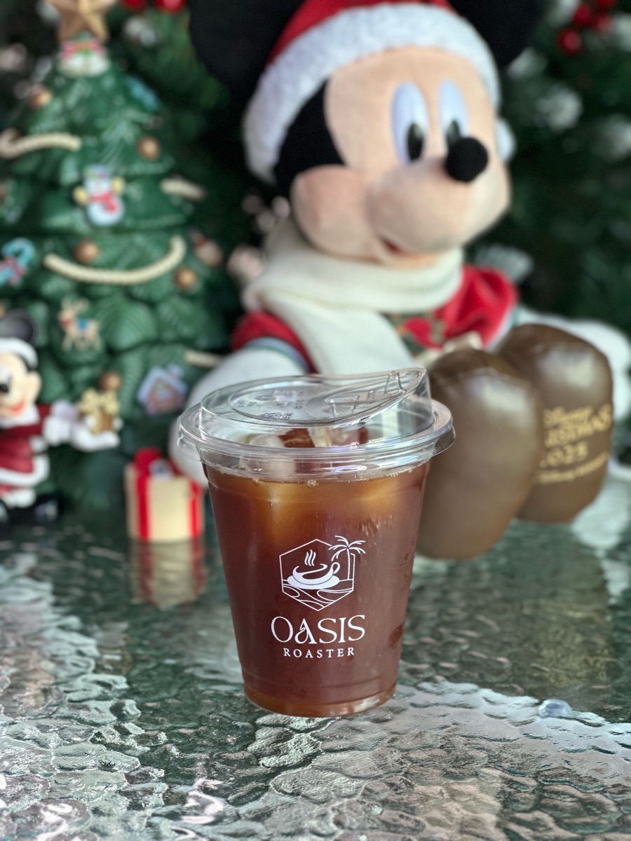 Oasis Roaster 2
