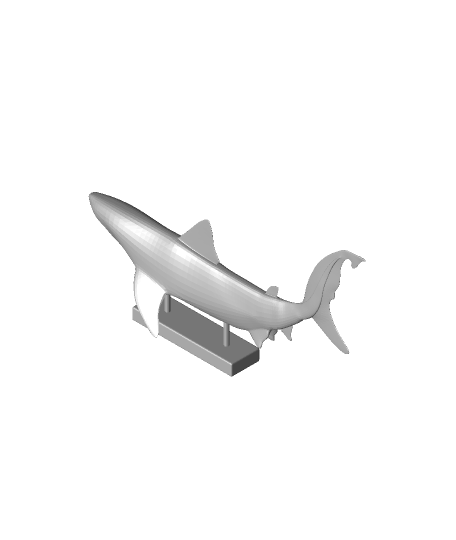 Shark Blender Models for Download