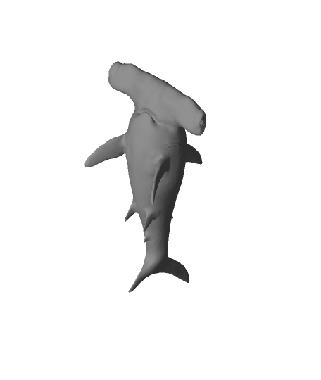 Hammerhead SHark - Blender 3D Models : Blender 3D Models