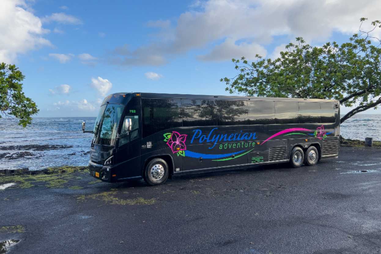 The Bus Network Booking Widget