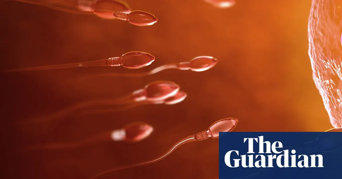 First UK testicular tissue transplant gives hope to boys left infertile by chemo