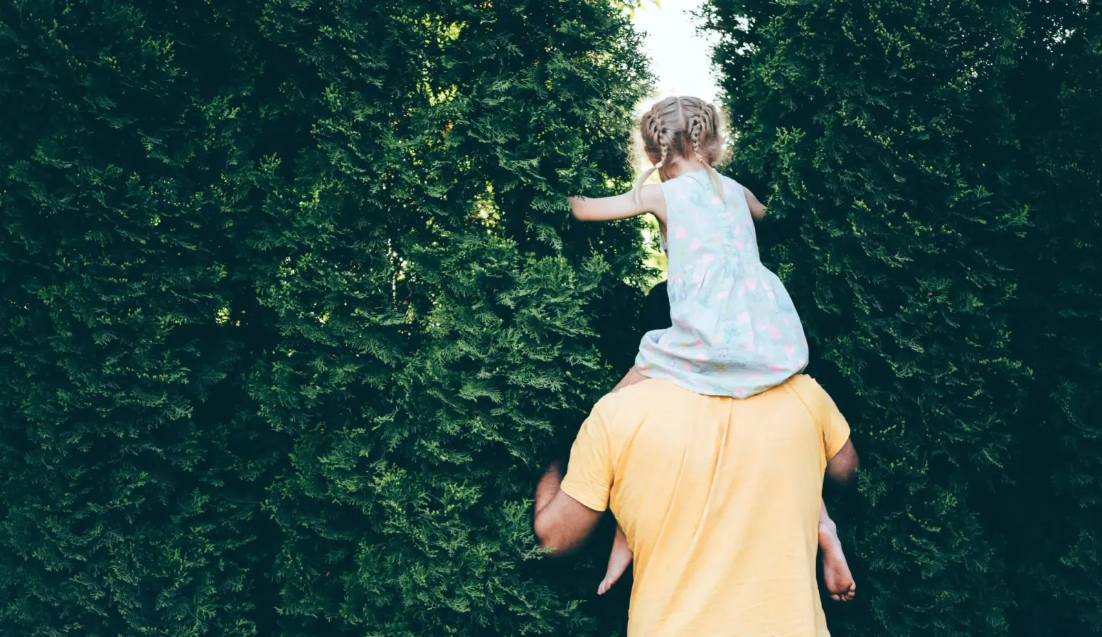 Aka dads spend 57 minutes; US infant dads log 125 primary minutes daily