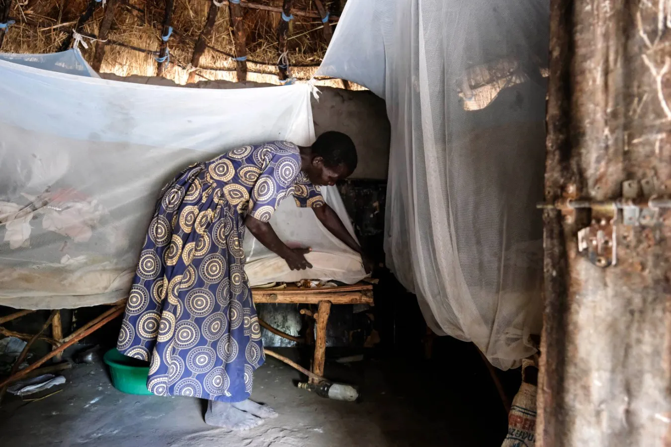 Climate change could shrink malaria by cooking mosquitoes in West and Central Africa