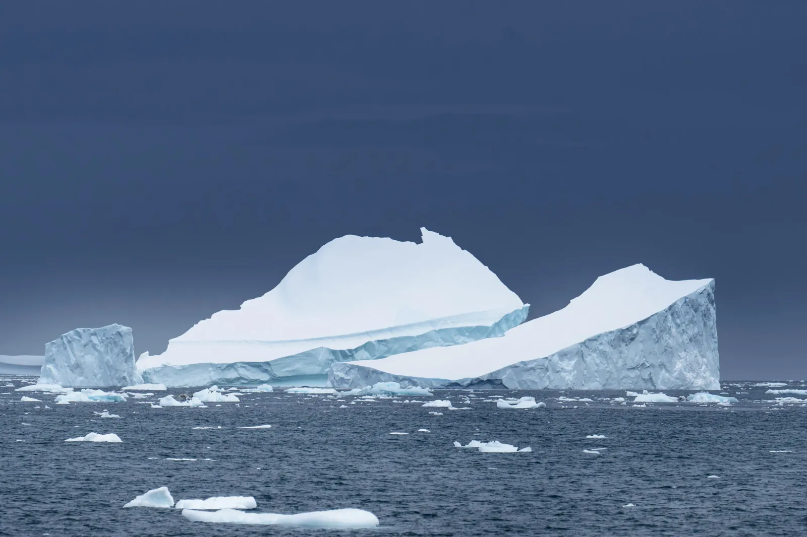 Antarctica's winter ice fails to form as temperatures run 45F above normal