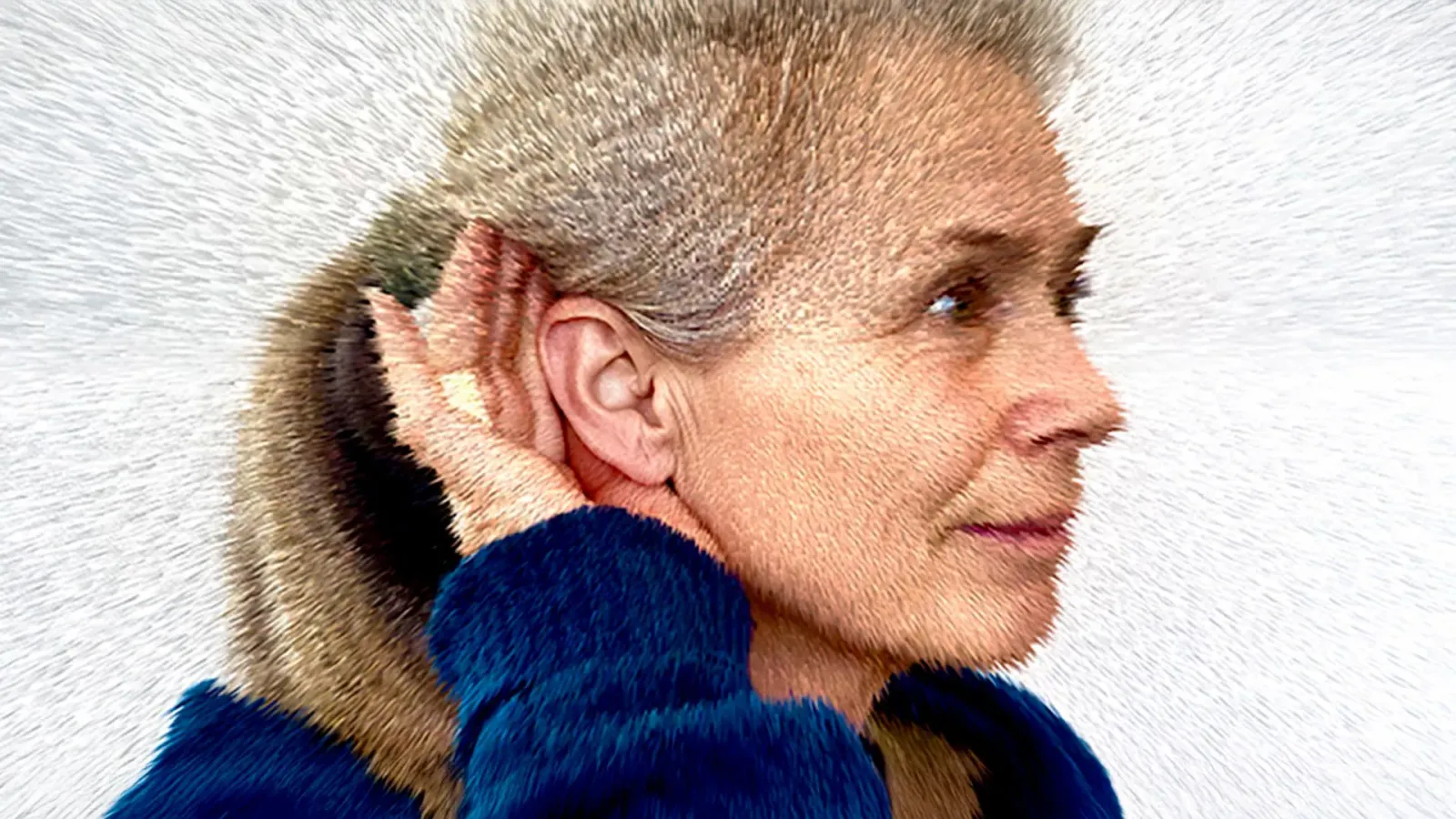The Hum’s “external” mystery may be low-frequency tinnitus, researchers find