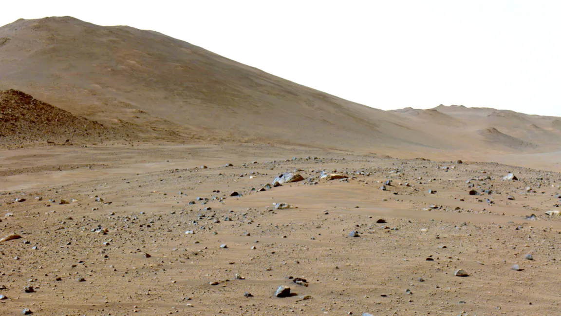 Perseverance finds surface macromolecular carbon on Mars, and biology is only one suspect