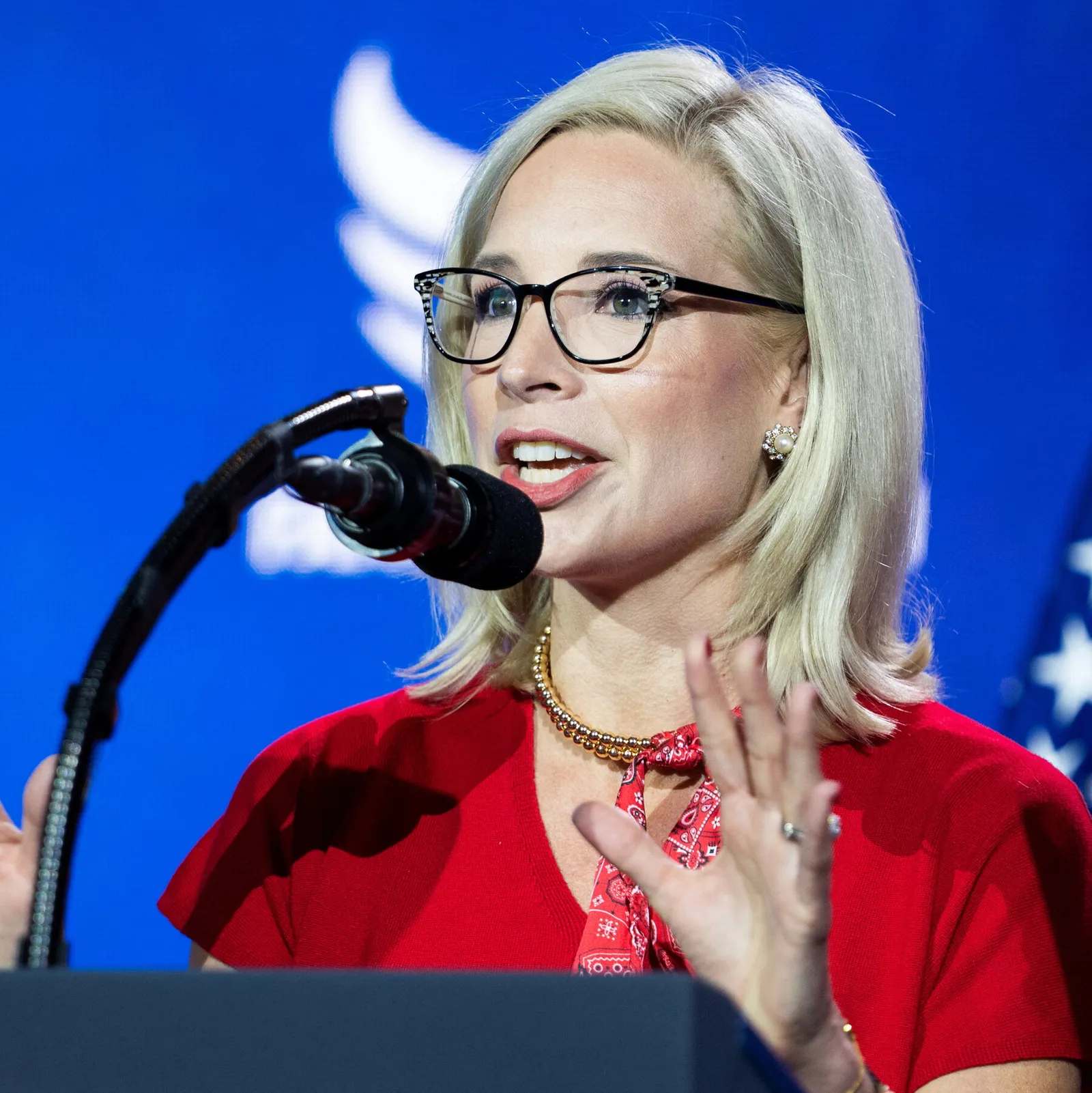 Times/Siena finds Democrats are popular, but Senate pickup math still looks tough