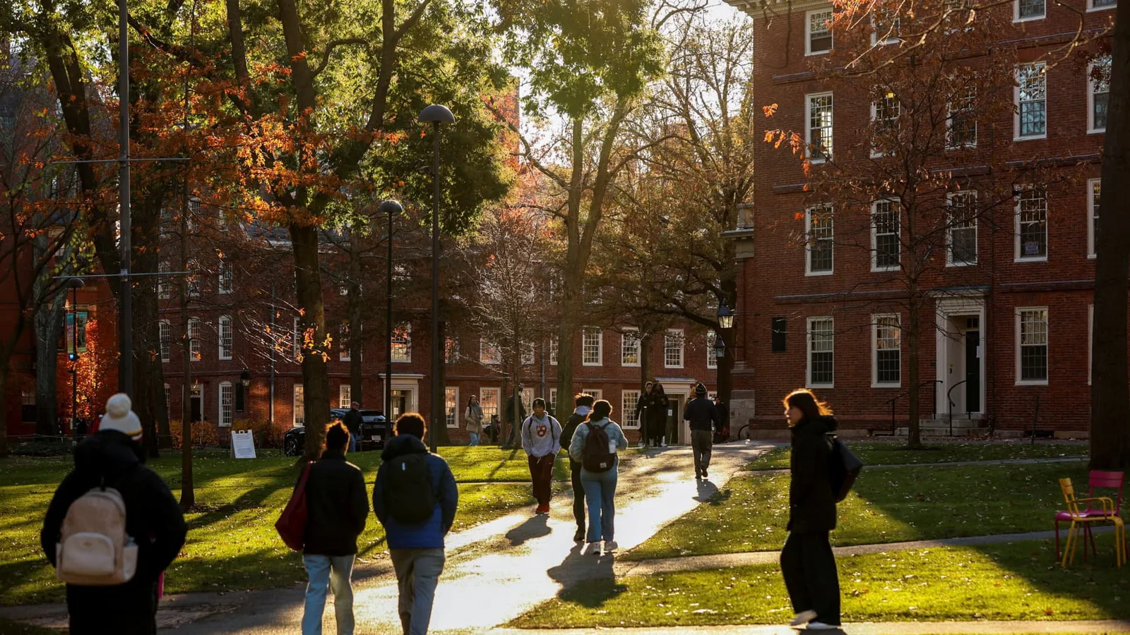 Harvard endowment jumps 27% in best year since 2021, SpaceX top holding