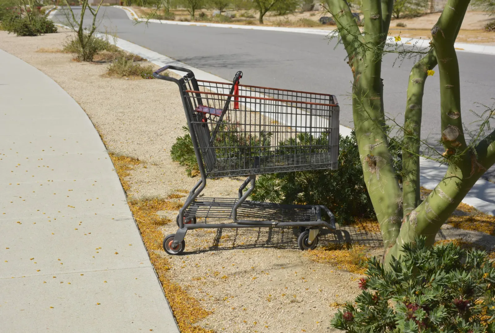Decodo’s 2025 data shows cart-discount timing peaks in 48 hours, except travel