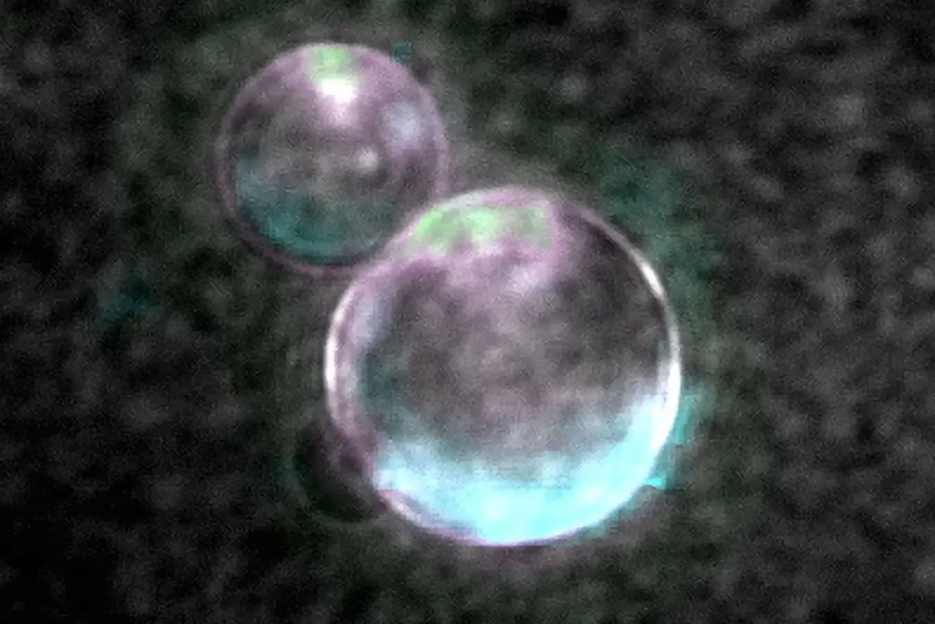 36 bacterial genes power a self-replication prototype, but regulators still say “not alive.”