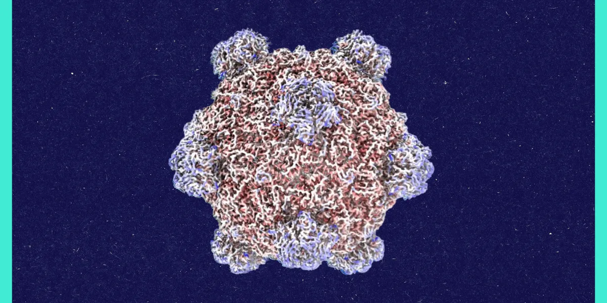 Stanford PhD student asked AI to design viruses. It worked. Life could be next.