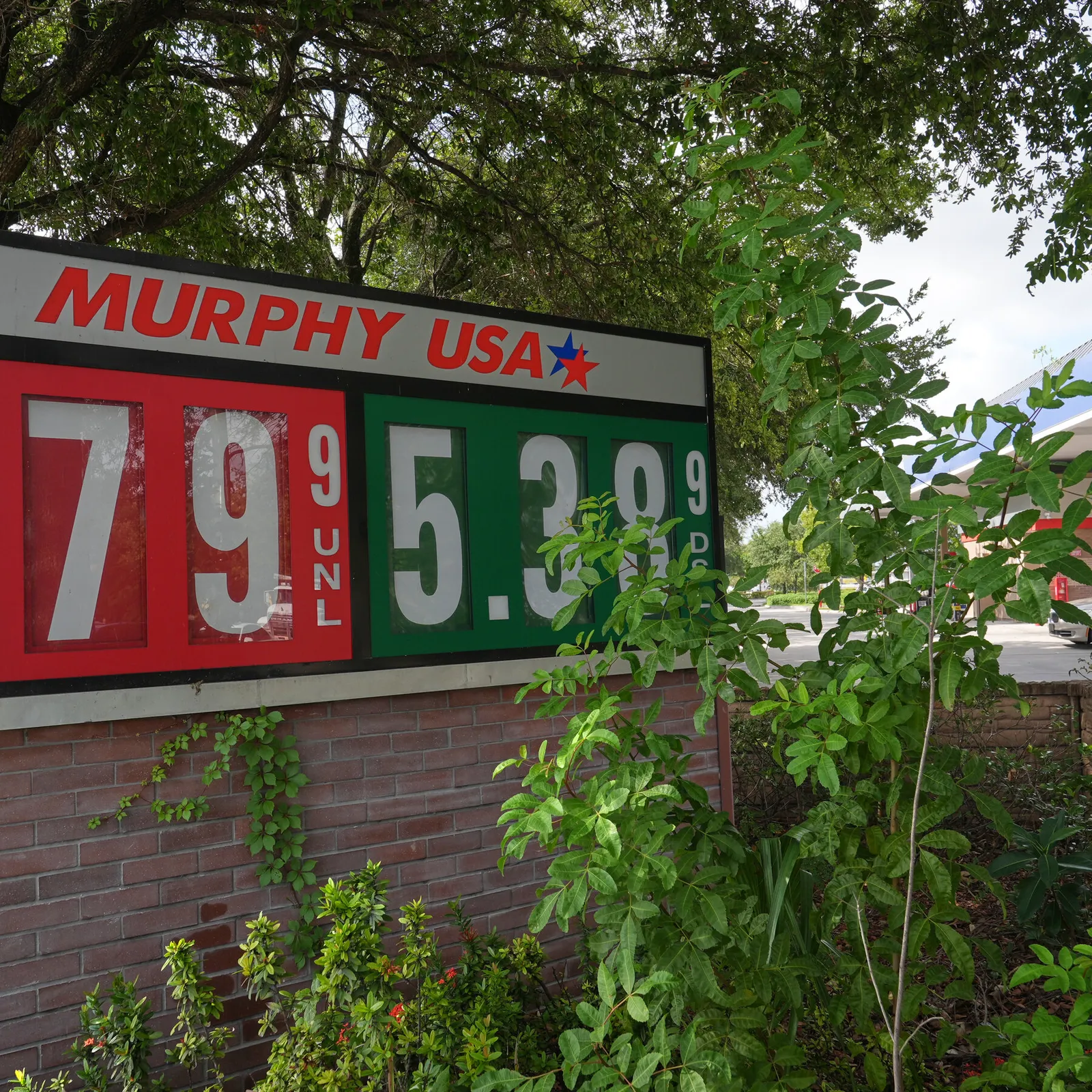 Oil prices plunge after Trump halts a U.S. assault on Iran, investors rush in