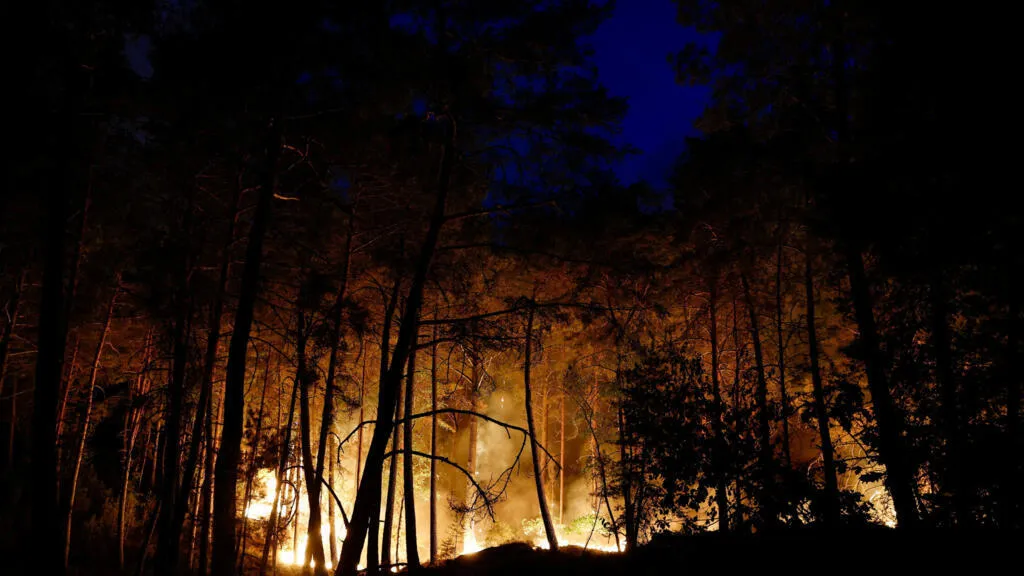 Fontainebleau wildfire scorches 800 hectares, forces A6 partial closures and two aircraft