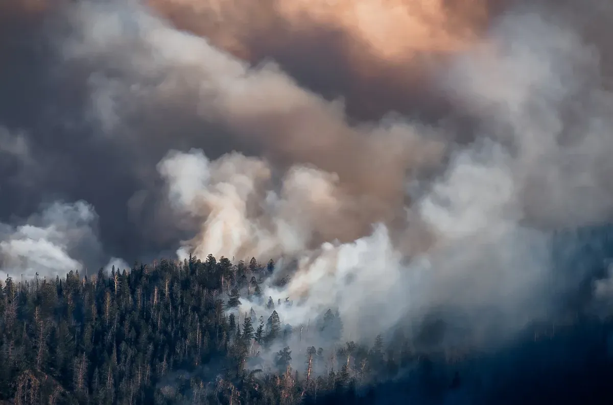 How wildfire detection tech is racing to catch blazes before they spiral