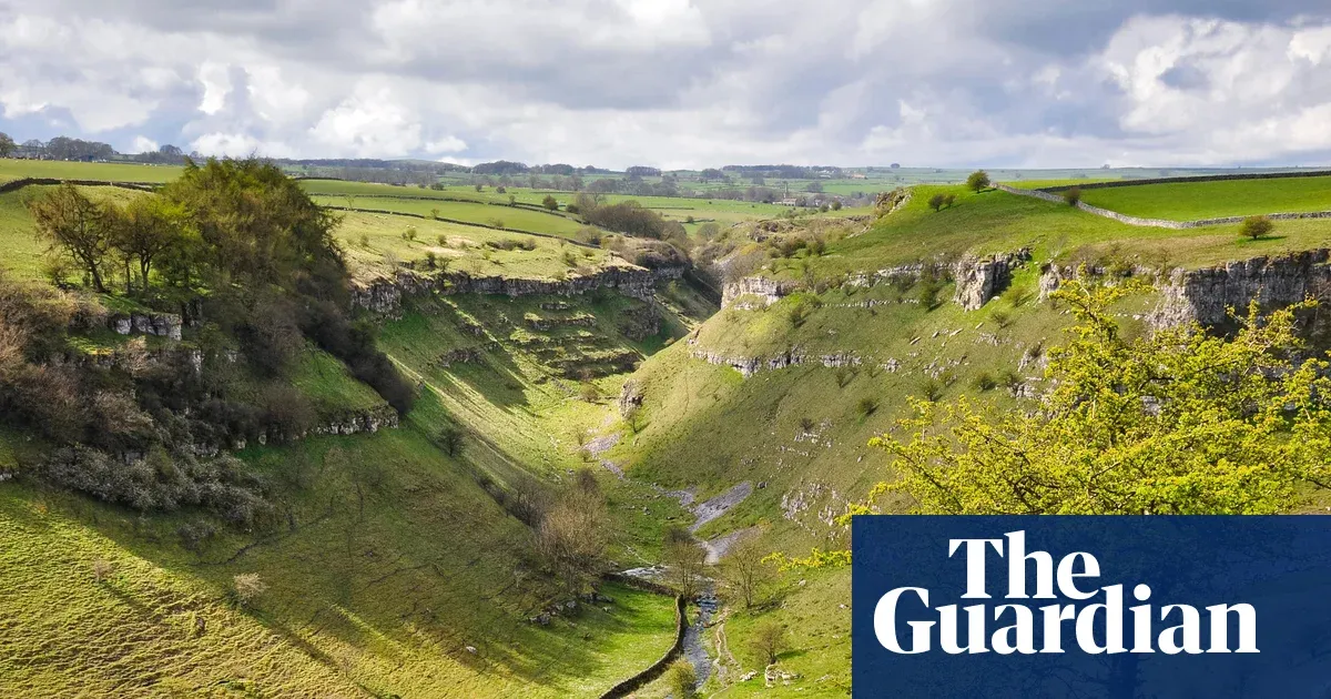 England nature plan by 2030 leaves legal protections optional, critics call it ‘completely insufficient’