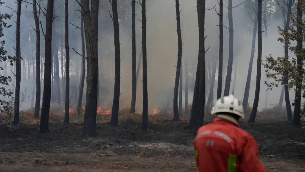 George Clooney evacuates France home as wildfires threaten southeast, agent says