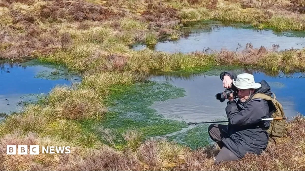 Welsh "Bogfather" scientist restores peatlands to cut climate pollution