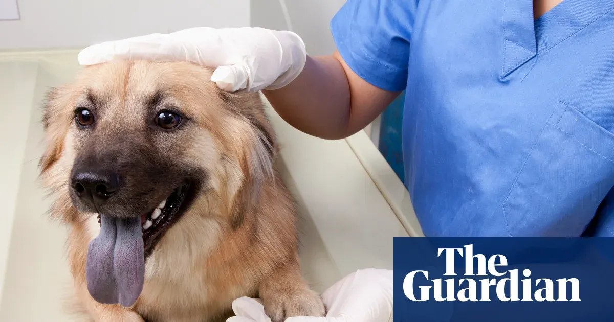 Pet medicine prescription cap at £21 and a vet regulator under White Paper plans