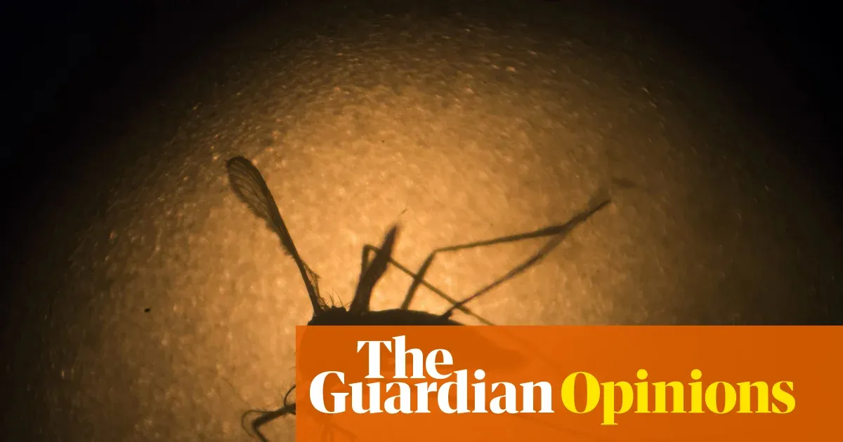 Alphabet asks to release 32 million sterile male mosquitoes in California and Florida