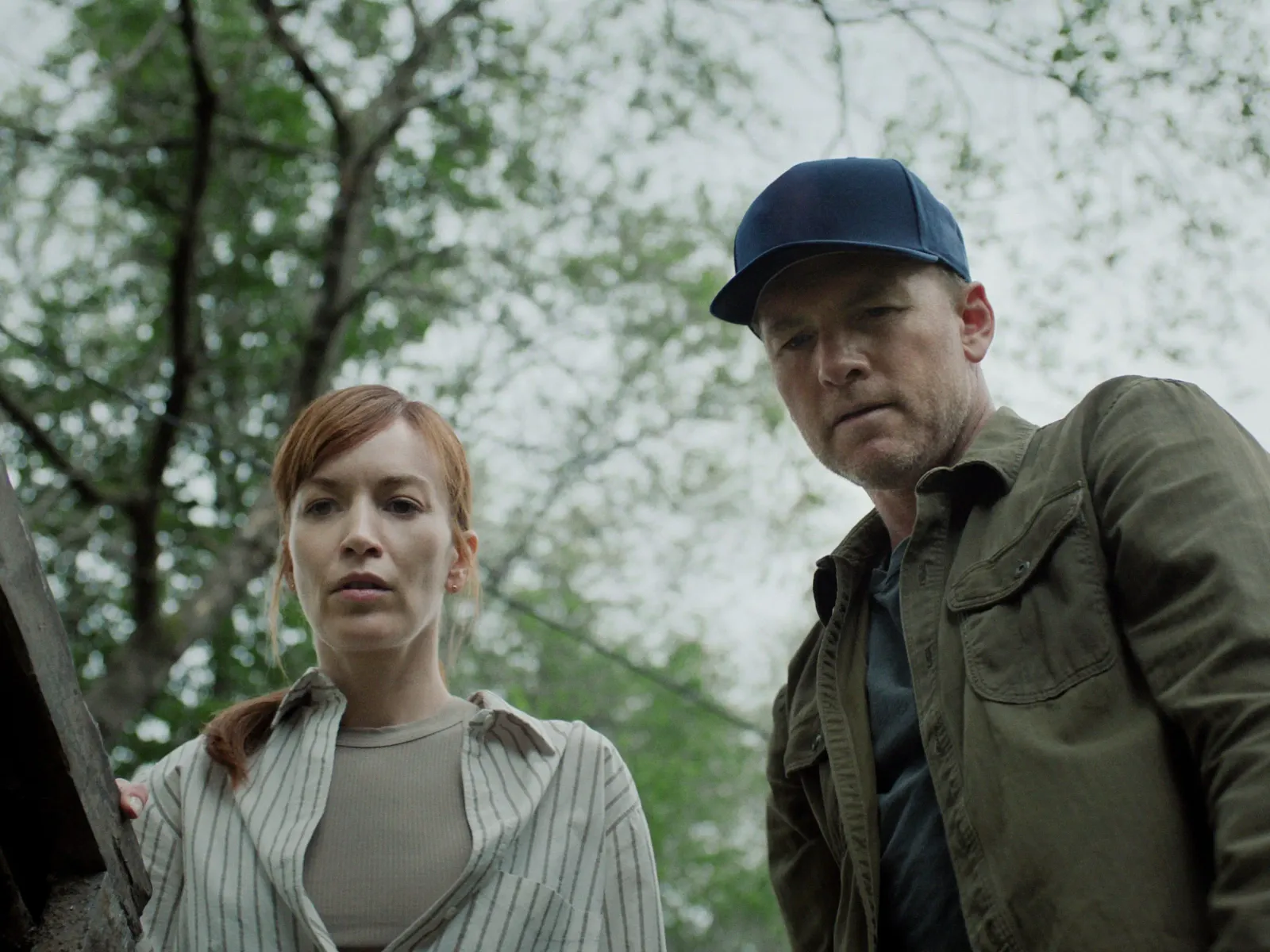 Netflix shares drop 8% as it publishes engagement yearly starting after Q1 2027