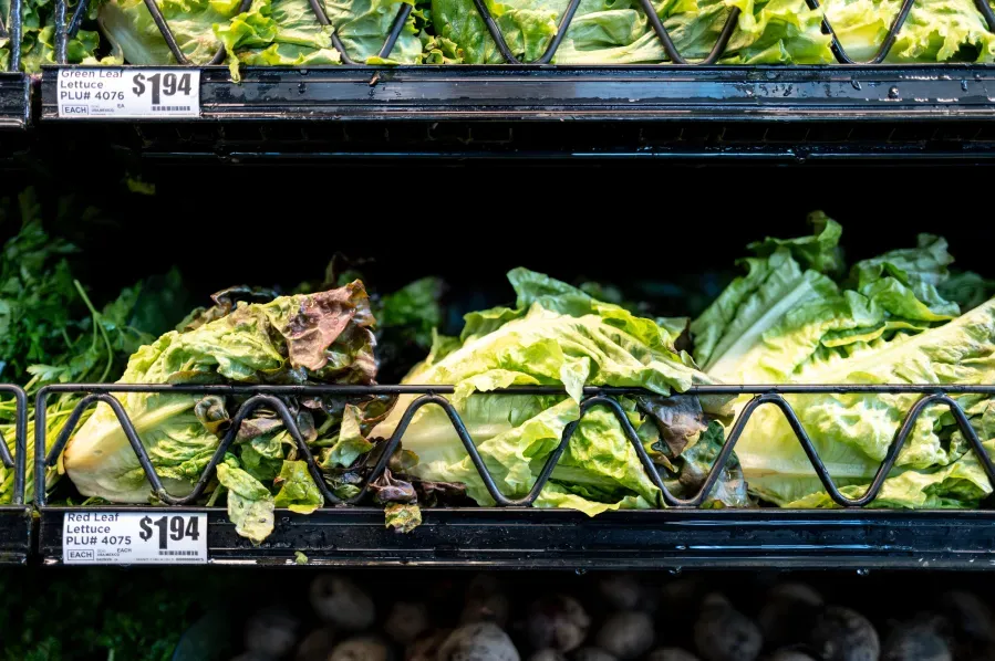 Taylor Farms pulls central Mexico iceberg lettuce after FDA-linked cyclosporiasis signal
