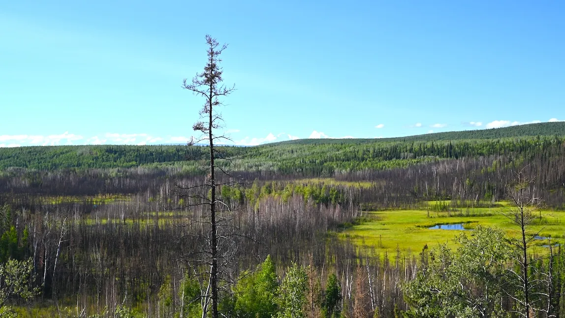 13,800-year-old Alaska camp reveals oldest dwelling in the Americas