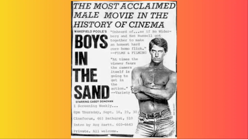 1971: Boys In The Sand made gay porn mainstream, then VHS and AIDS took it down