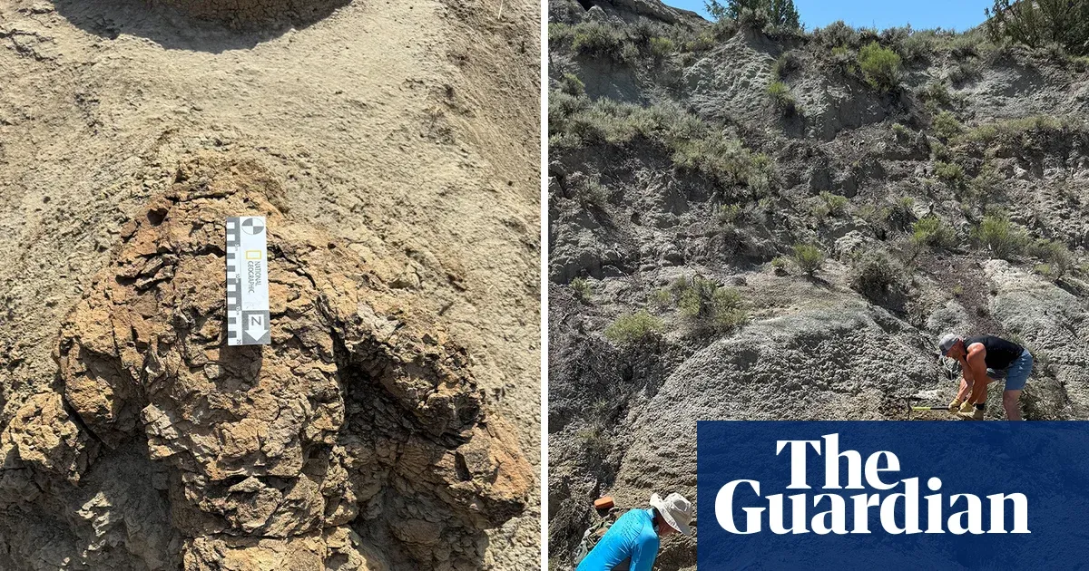 First adult T rex footprints found - 23-foot trackway from 66.5M years ago